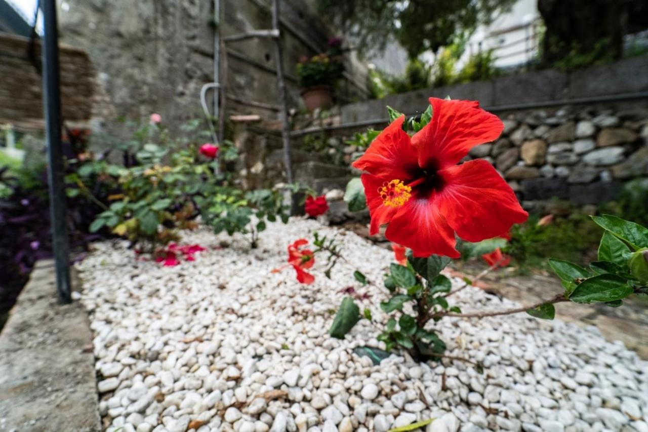 Villetta La Pietra Taormina Kültér fotó